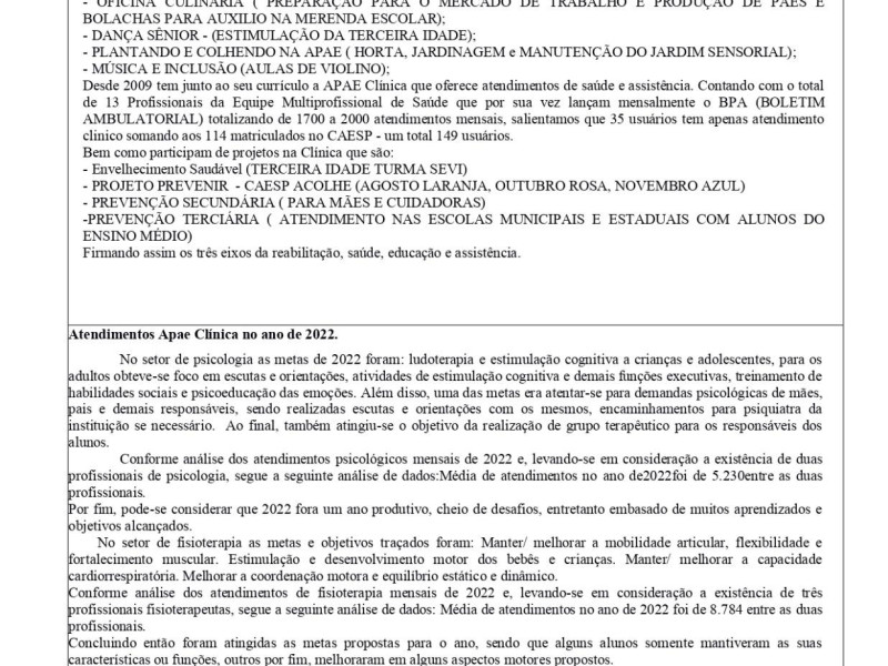RELATÓRIO DE EXECUÇÃO ANUAL - Foto 2 de 4