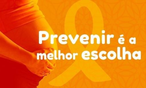 Sancionada a Lei que institui o Agosto Laranja no município de Campos Novos Sancionada a Lei que institui o Agosto Laranja no município de Campos Novos