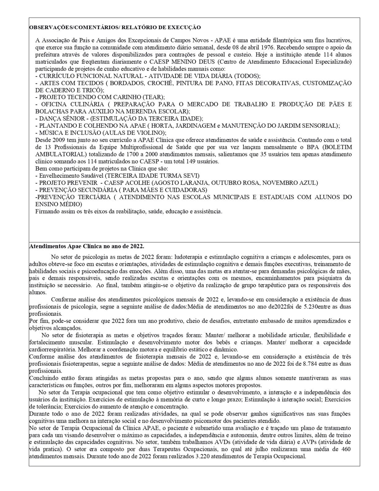 RELATÓRIO DE EXECUÇÃO ANUAL