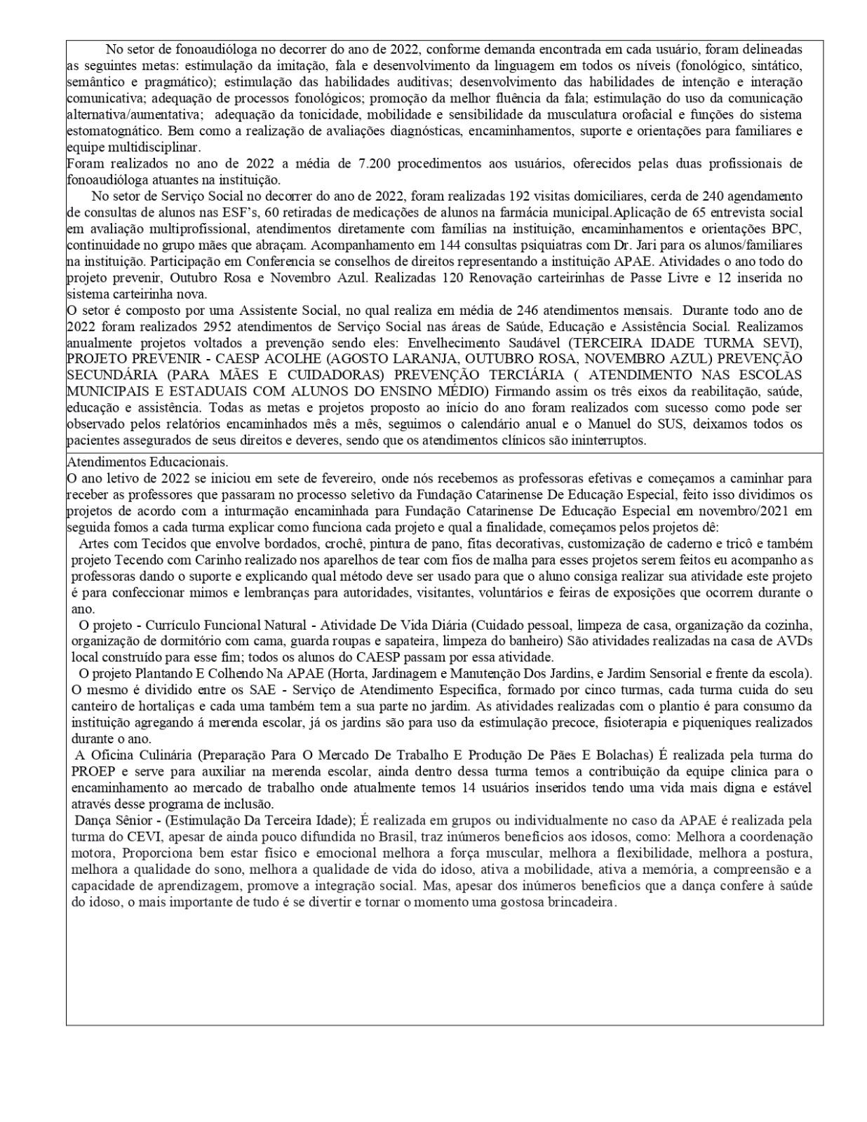 RELATÓRIO DE EXECUÇÃO ANUAL